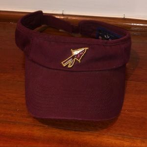 FSU Visor